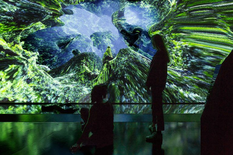 Green immersive projection room