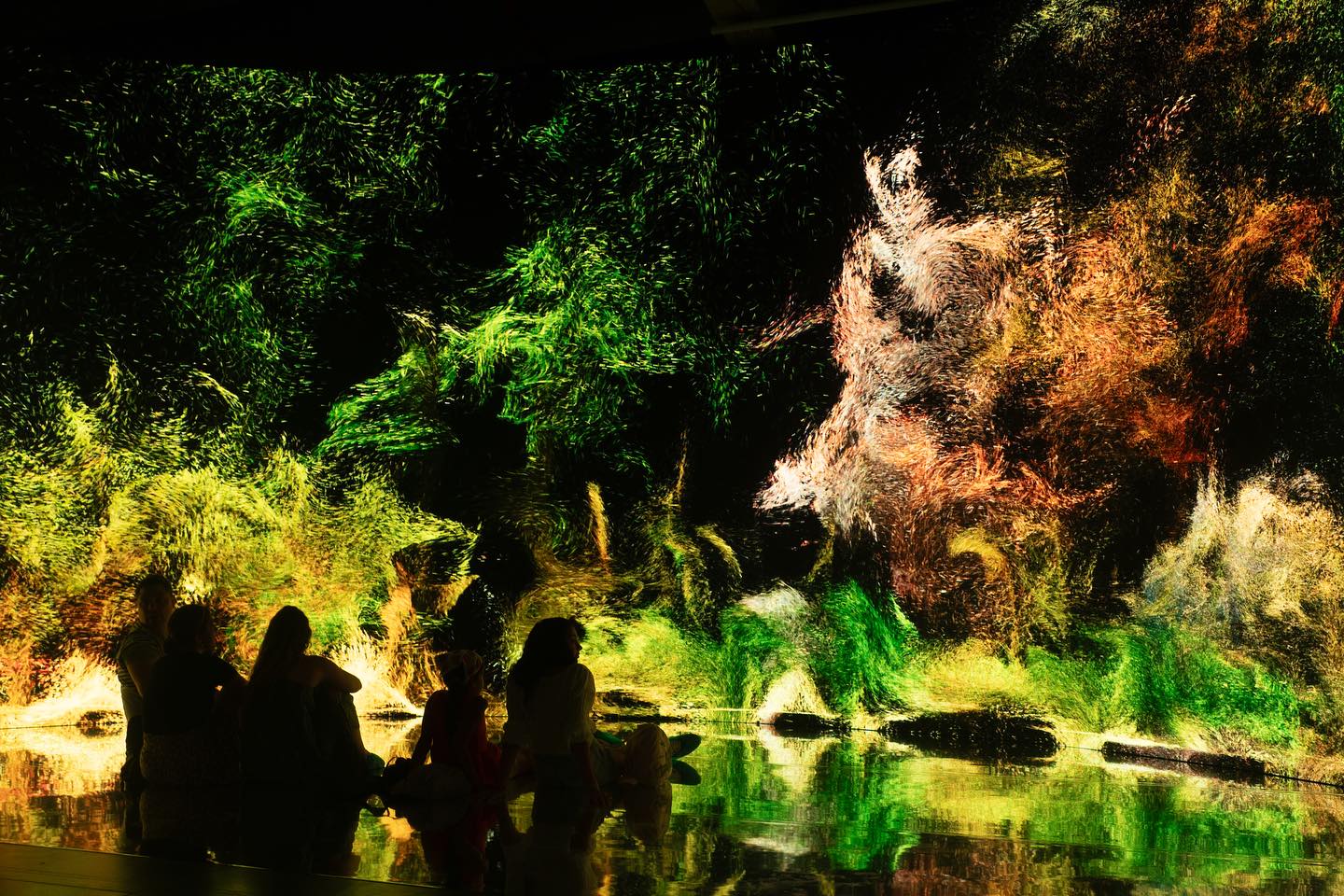 Silhouettes in dark projection