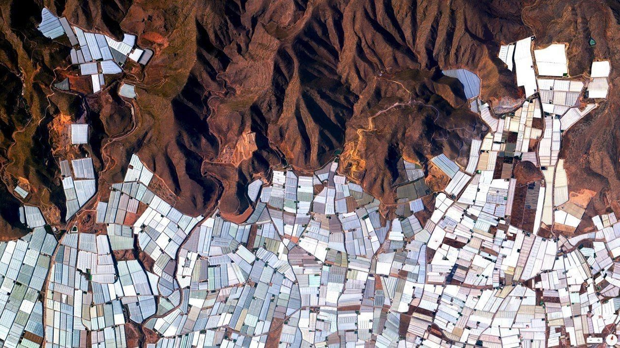 Aerial greenhouses